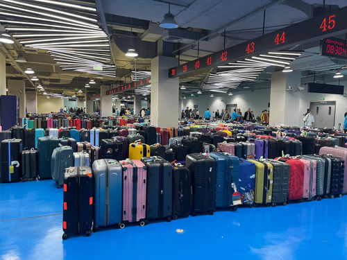 海洋光谱号荣耀回归上海母港，携五一前最大入境旅游团引爆市场热潮